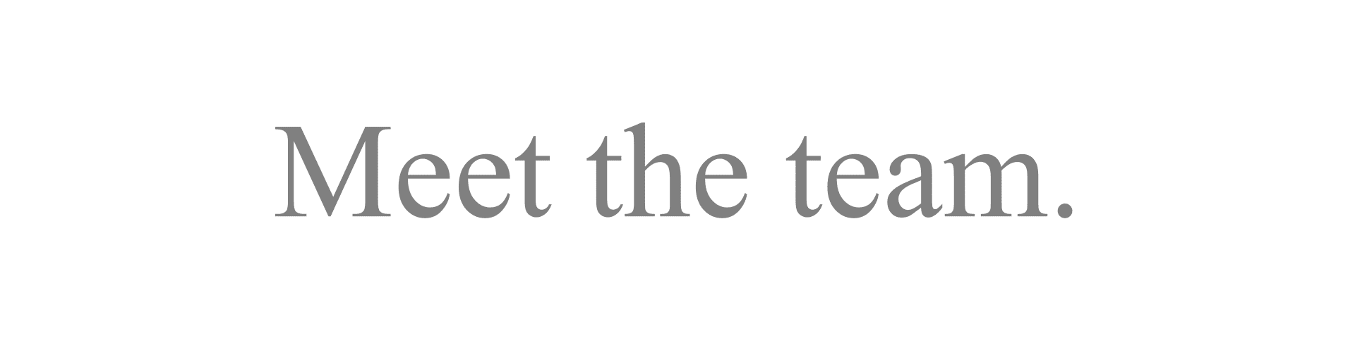 Meet the team
